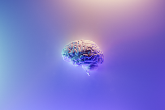 The Science Behind The Sleep