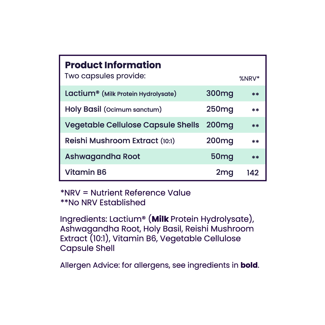 The Dream Team Bundle